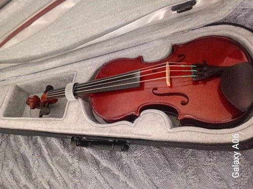 Gewa ideale viola with - 13",
