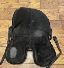 Enlightened Equitation Heather