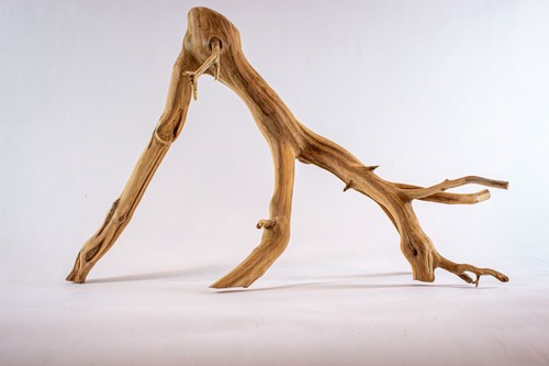 Manzanita aquarium driftwood - aquarium,