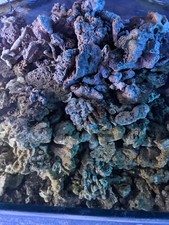 Marine aquarium live rock