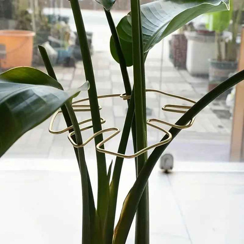 Large hanging plant stand - stand, iron