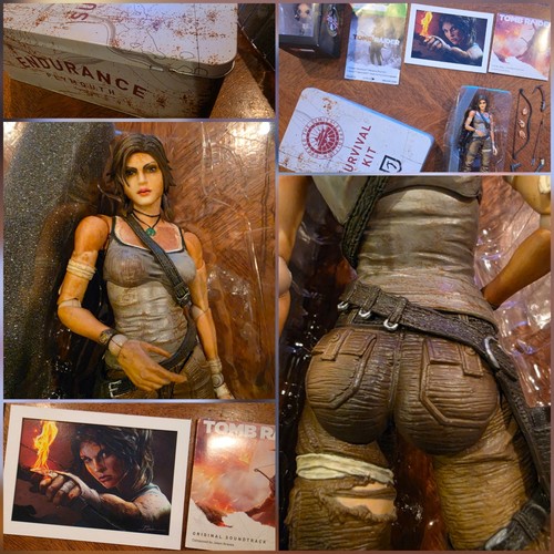 Tomb raider survival tin set - survival,