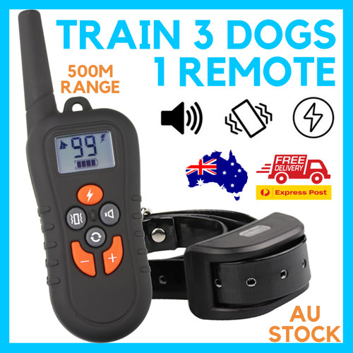 Train dogs 500m sound - 3,
