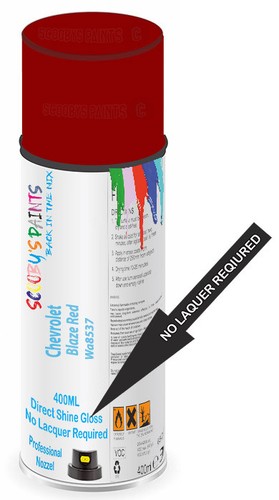 Aerosol spray paint - paint, for