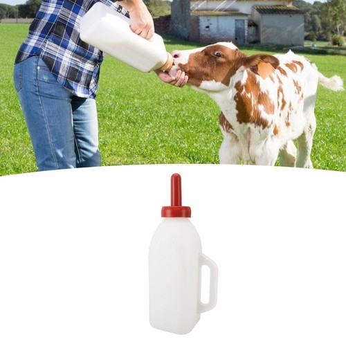 Calf milk feeders - calf, with