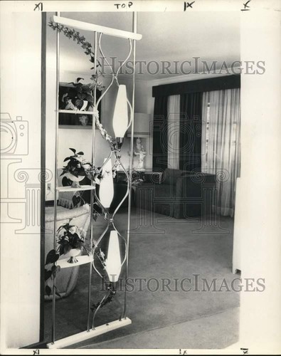 1960 press photo plastic - photo, ivy