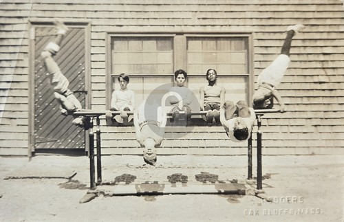 Oak bluffs parallel bars - bluffs,