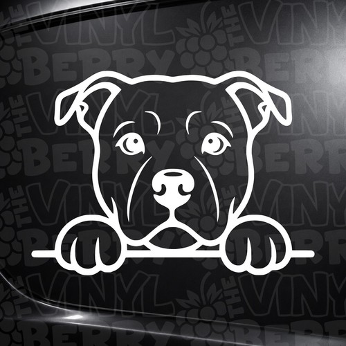Cute staffy staffordshire - cute,