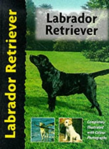 Labrador retriever dog breed - retriever,