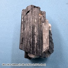 Black Tourmaline Crystal