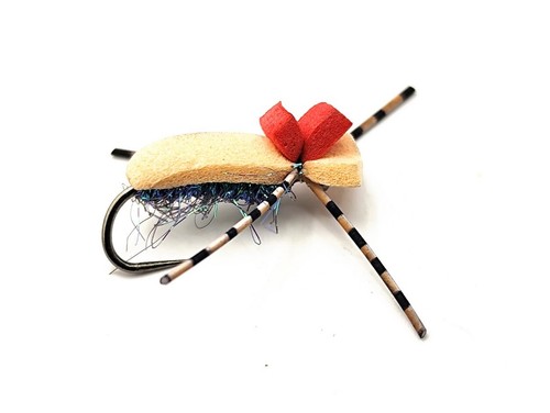 Foam beetle flies viz - 3,