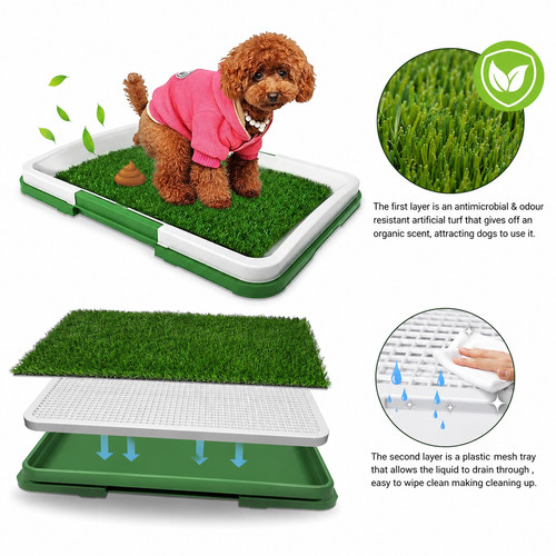 Pet dog toilet mat - dog,