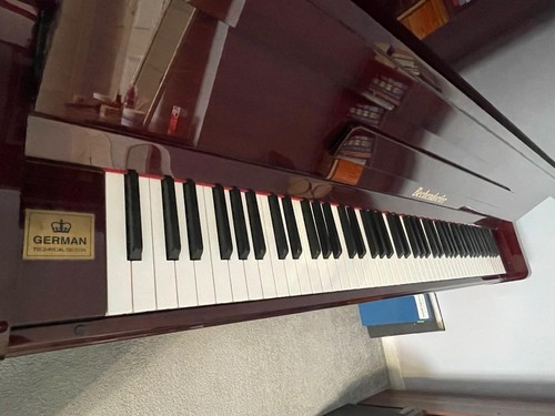 Bechendorfer u110 - bechendorfer,