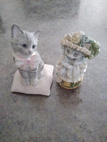 Victorian dress cat and cute
