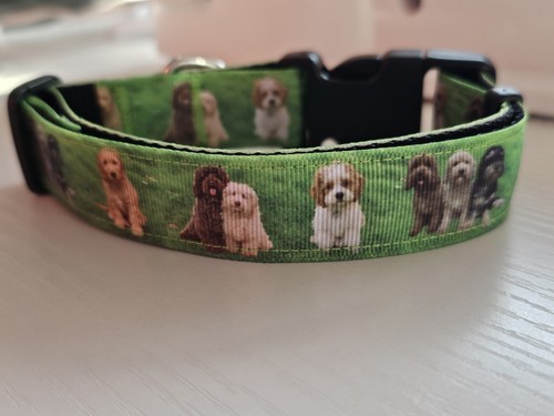 Adjustable dog collar - dog,
