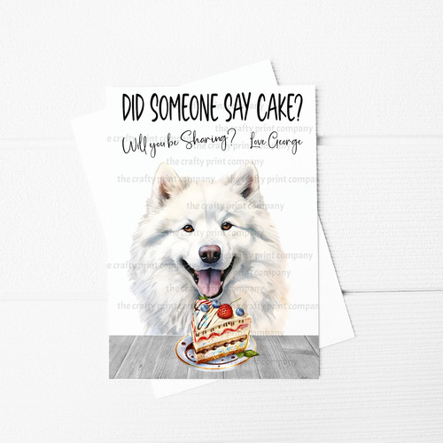 Did someone say - cake?, samoyed