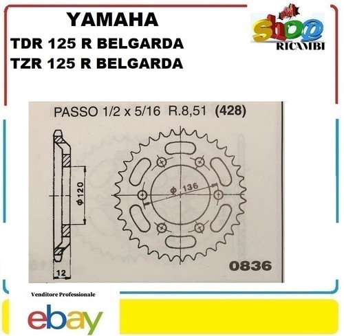 Cht 836 steel crown for - crown, yamaha