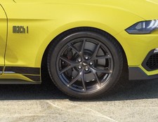 Genuine Ford Mustang Front 19"