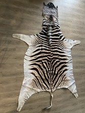Zebra Real Skin Rug Hide Large
