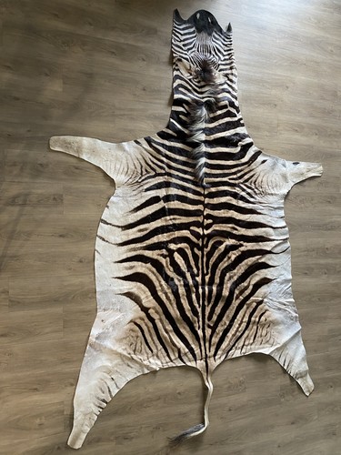 Zebra real skin rug - rug, hide