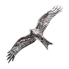 Red Kite Pin Badge Pewter Hawk