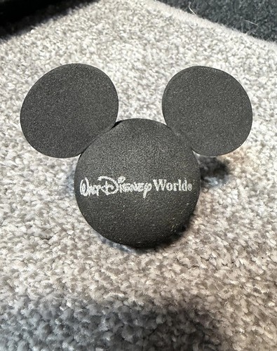 Disney world aerial topper - world,