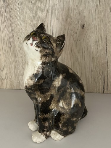 Mike hinton tabby cat - mike,