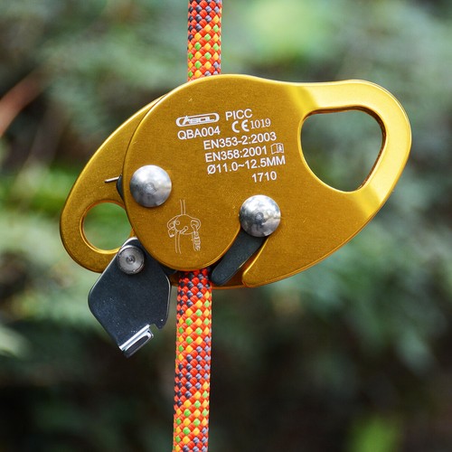 Safety rope grab rock - safety, tree