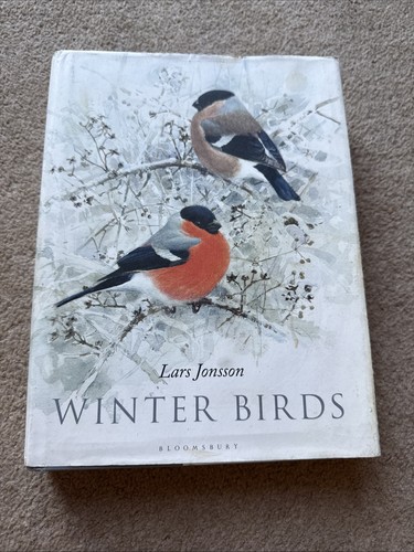 Winter birds lara - lara, dust