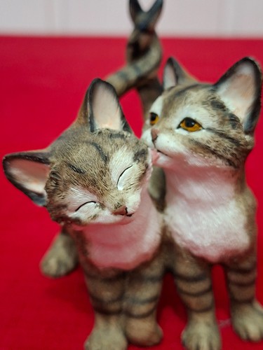 Leonardo collection tabby - leonardo,