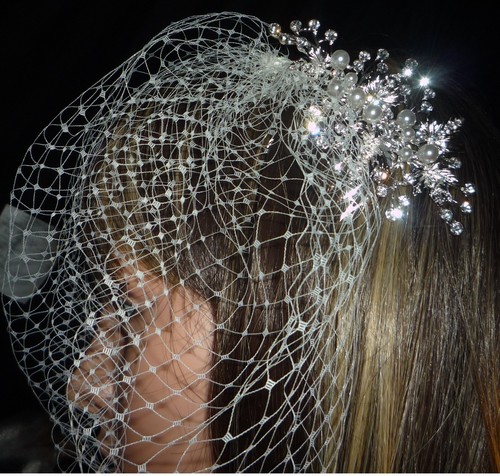 Ivory wedding veil birdcage
