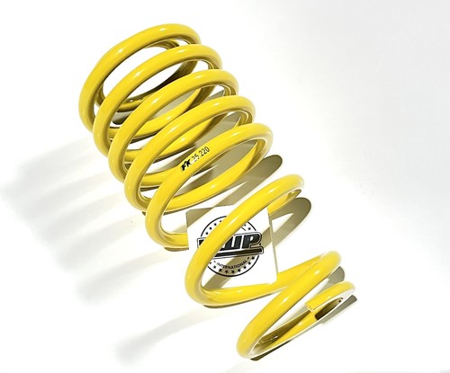 Rear spring for street - spring, fk
