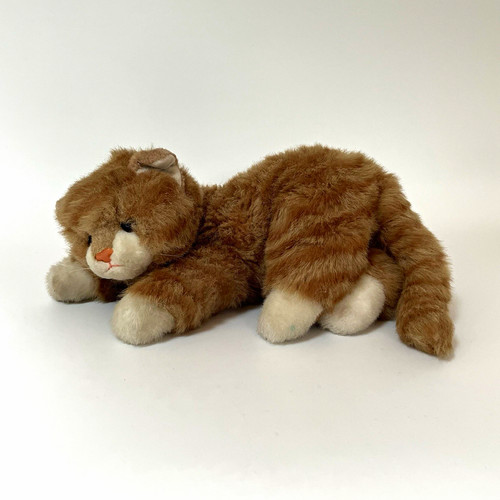 1995 ginger tabby cat - ty,