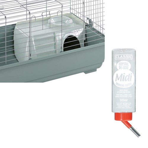 Premium rabbit guinea - rabbit, &