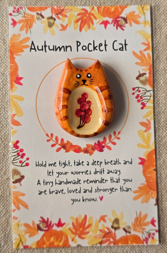 Autumn pocket ginger cat - ginger, worry