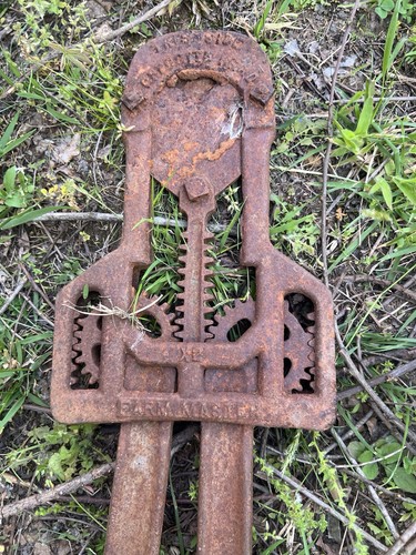 Vintage cast iron bull cattle - vintage,