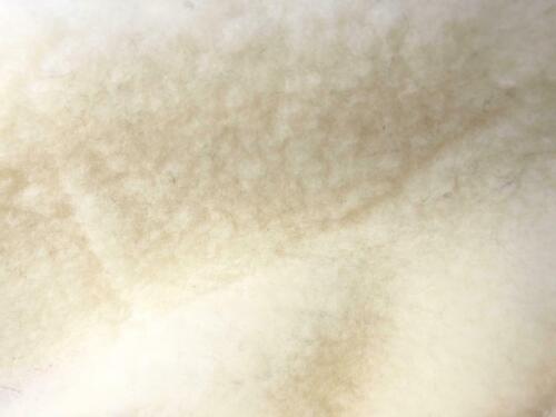 100 lambs wool - wool, fleece