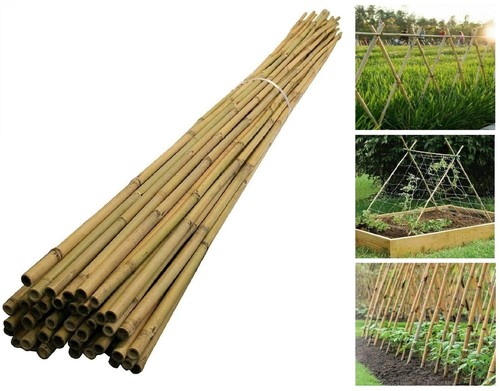 2ft 7ft large bamboo - 7ft,