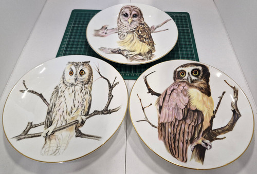 Set owl crown - set,