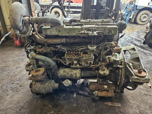 Leyland tl11 engine bus - tl11,