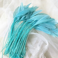 Stripped Coque Feather