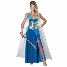 Warrior Queen Medieval Renaissance Viking Womens Costume