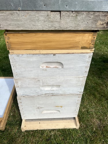 Langstroth beehive - langstroth,