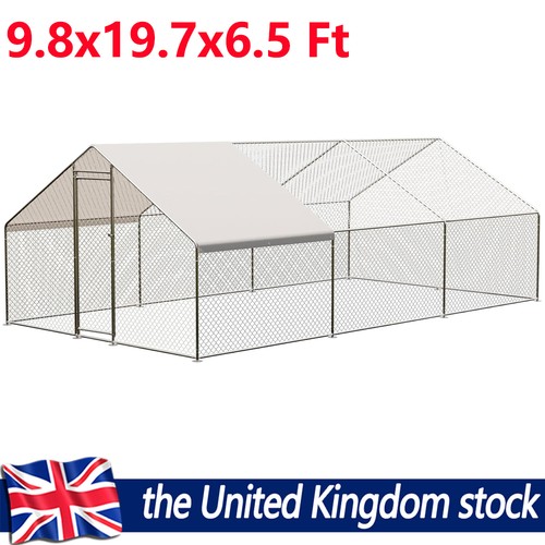 7ft walk chicken - walk-in, run