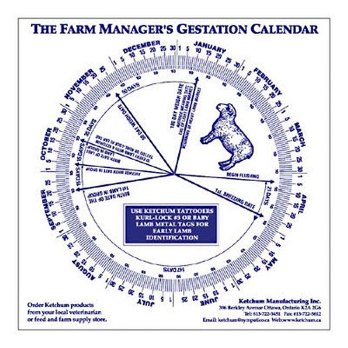 Sheep gestation calendar - sheep,
