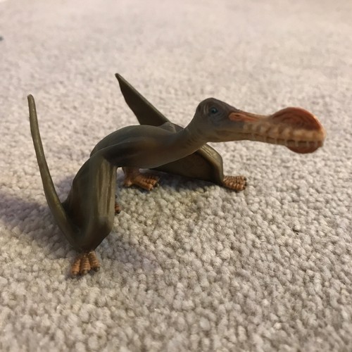 Schleich anhanguera dinosaur - schleich,