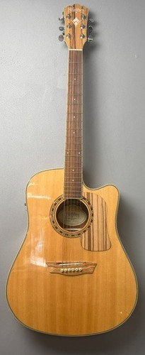 Washburn electro acoustic - washburn,