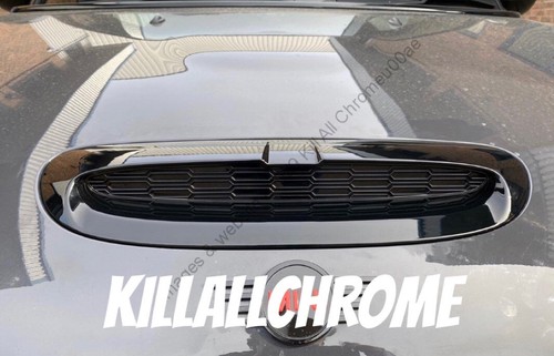 Gen bonnet scoop for mini - scoop,