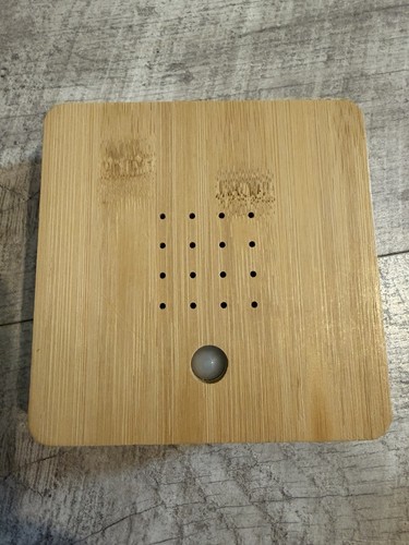 Singing bird box - singing, original