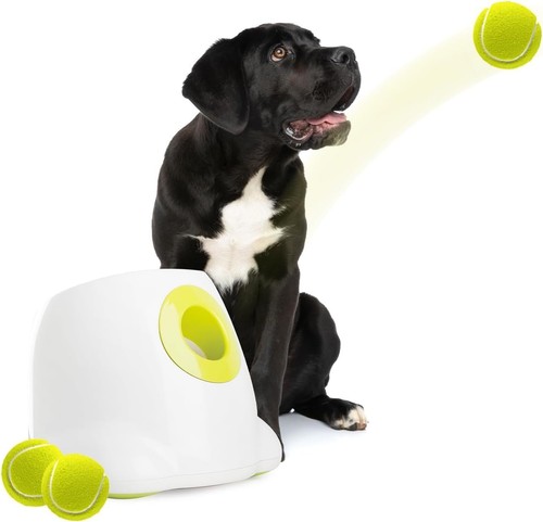 Automatic maxi ball launcher - automatic,